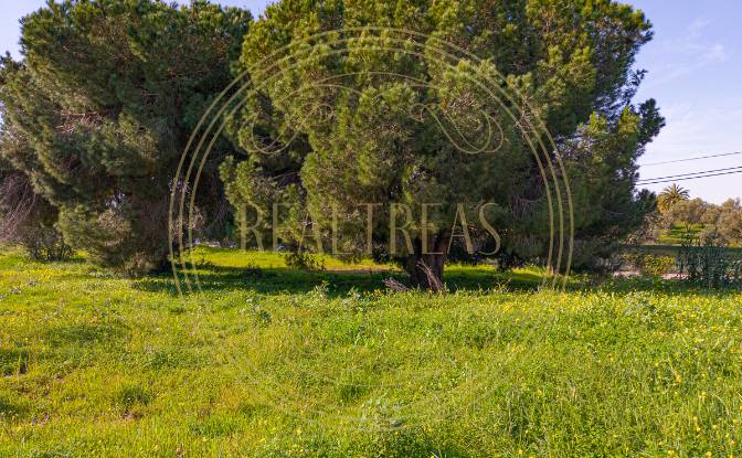 Land Lot for Sale R Francisco Assis, Faro. Photo#2
