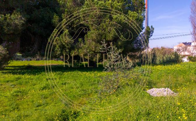Land Lot for Sale R Francisco Assis, Faro. Photo#4