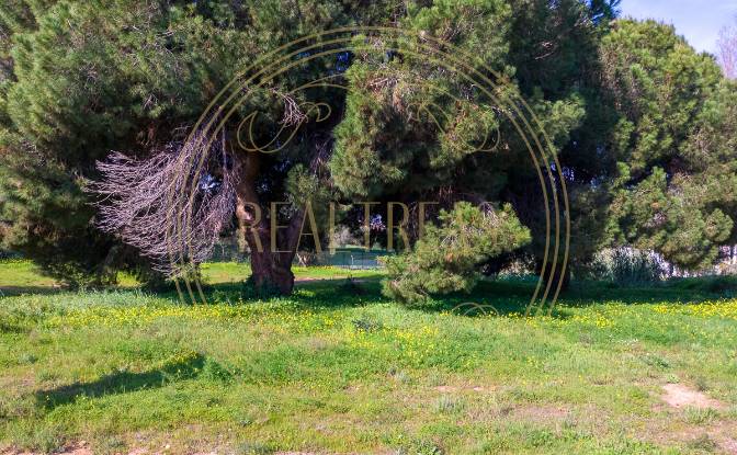 Land Lot for Sale R Francisco Assis, Faro. Photo#5