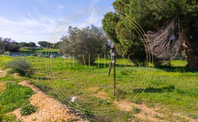 Land Lot for Sale R Francisco Assis, Faro. Photo#7