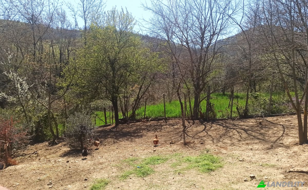 Land Lot for Sale Ampeliko, Thessalia, Decentralized Administration of Thessaly and Central Greece, Greece. Photo 10