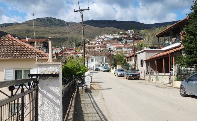 Land Lot for Sale Ampeliko, Thessalia. Photo#2