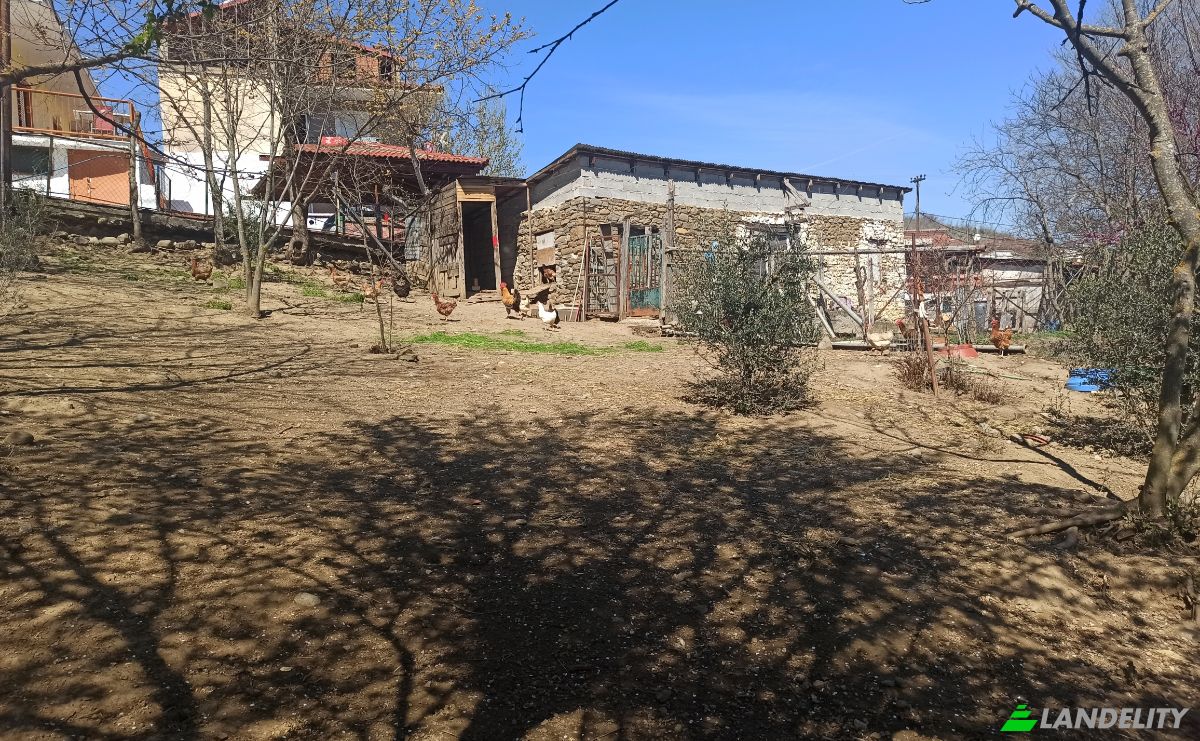 Land Lot for Sale Ampeliko, Thessalia, Decentralized Administration of Thessaly and Central Greece, Greece. Photo 3