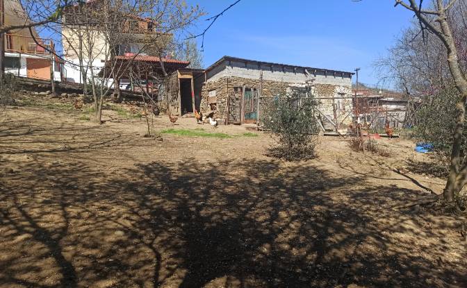 Land Lot for Sale Ampeliko, Thessalia. Photo#3