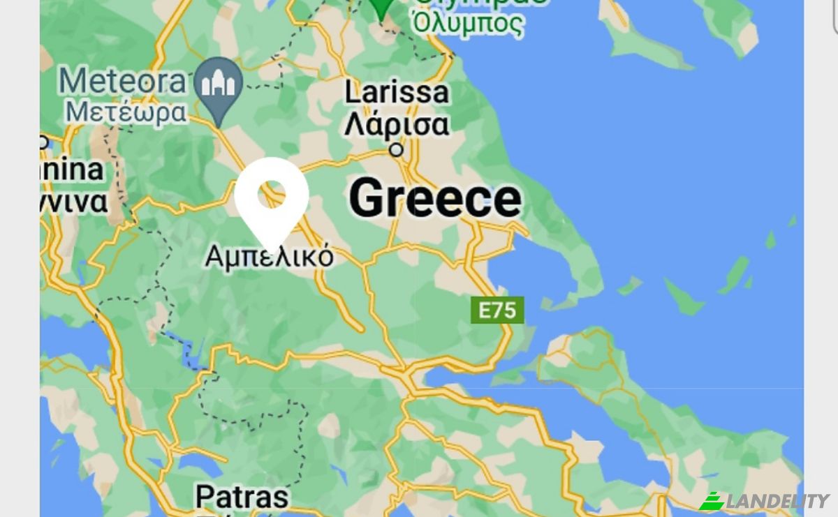 Land Lot for Sale Ampeliko, Thessalia, Decentralized Administration of Thessaly and Central Greece, Greece. Photo 5