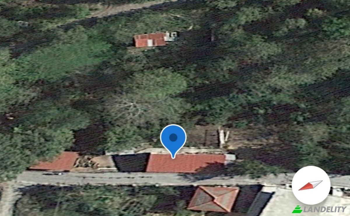 Land Lot for Sale Ampeliko, Thessalia, Decentralized Administration of Thessaly and Central Greece, Greece. Photo 6