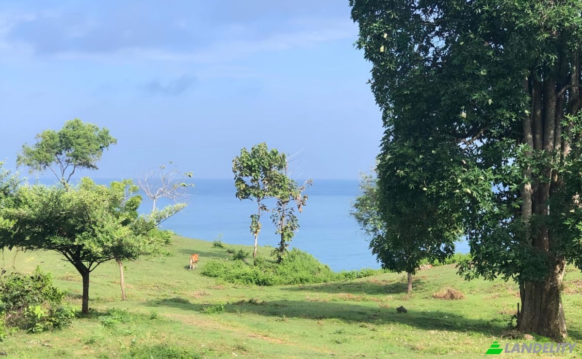 Land Lot for Sale Pecatu, Badung Regency, Bali, Indonesia, South Kuta. Photo 6