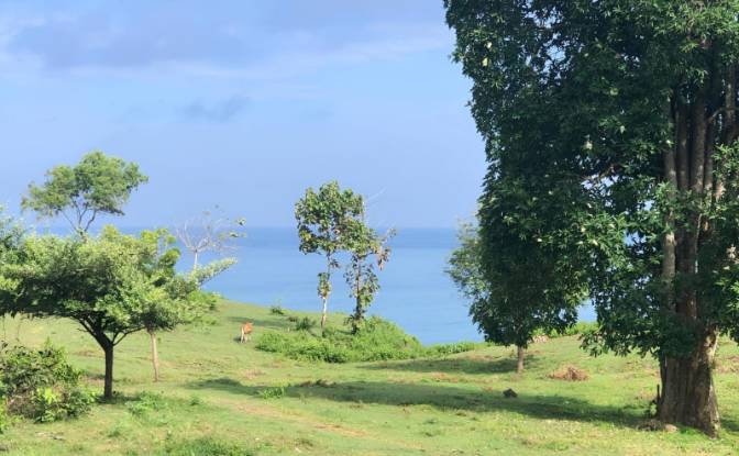 Land Lot for Sale Pecatu, Badung Regency, Bali. Photo#6