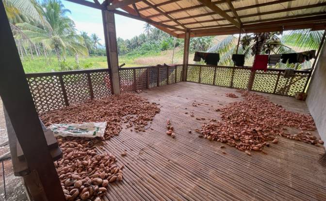 Fattoria/Ranch in vendita Quezon, Palawan. Foto#14