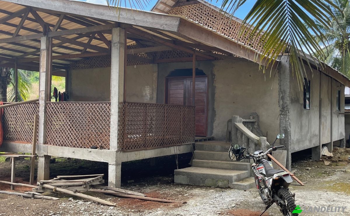 Fattoria/Ranch in vendita Quezon, Palawan, MIMAROPA, Philippines. Foto 15