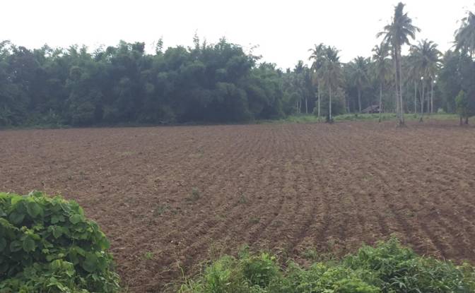 Fattoria/Ranch in vendita Quezon, Palawan. Foto#16