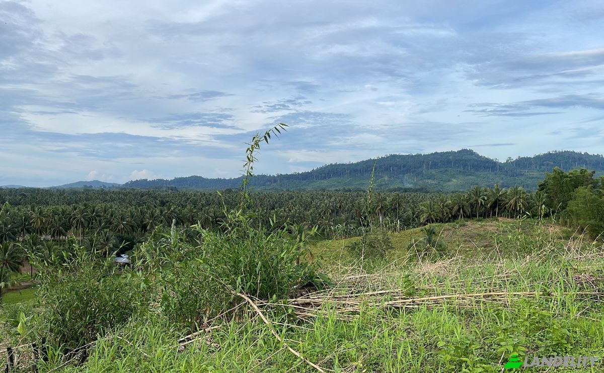 Fattoria/Ranch in vendita Quezon, Palawan, MIMAROPA, Philippines. Foto 3
