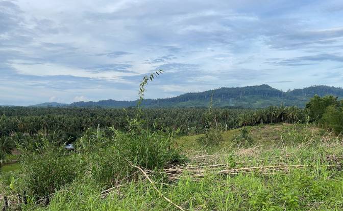 Fattoria/Ranch in vendita Quezon, Palawan. Foto#3