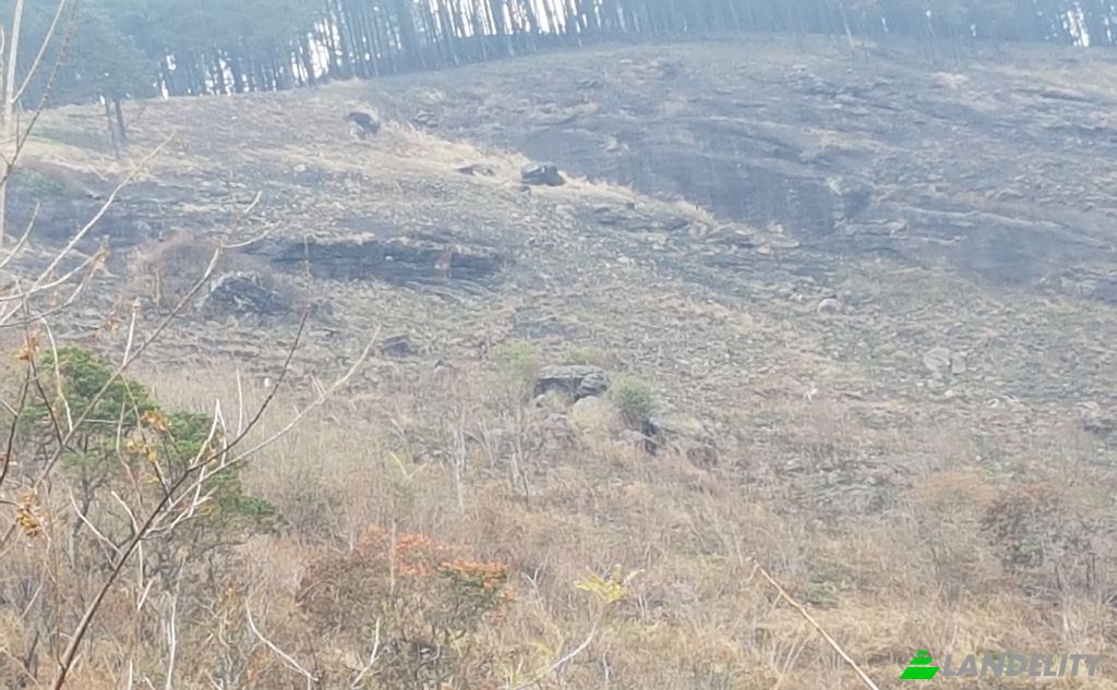Land Lot for Sale Belwood Rd, Galaha, Kandy, Central Province, Sri Lanka. Photo 2
