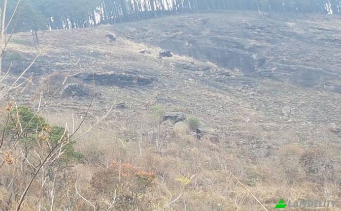 Land Lot for Sale Belwood Rd, Galaha, Kandy. Photo#2