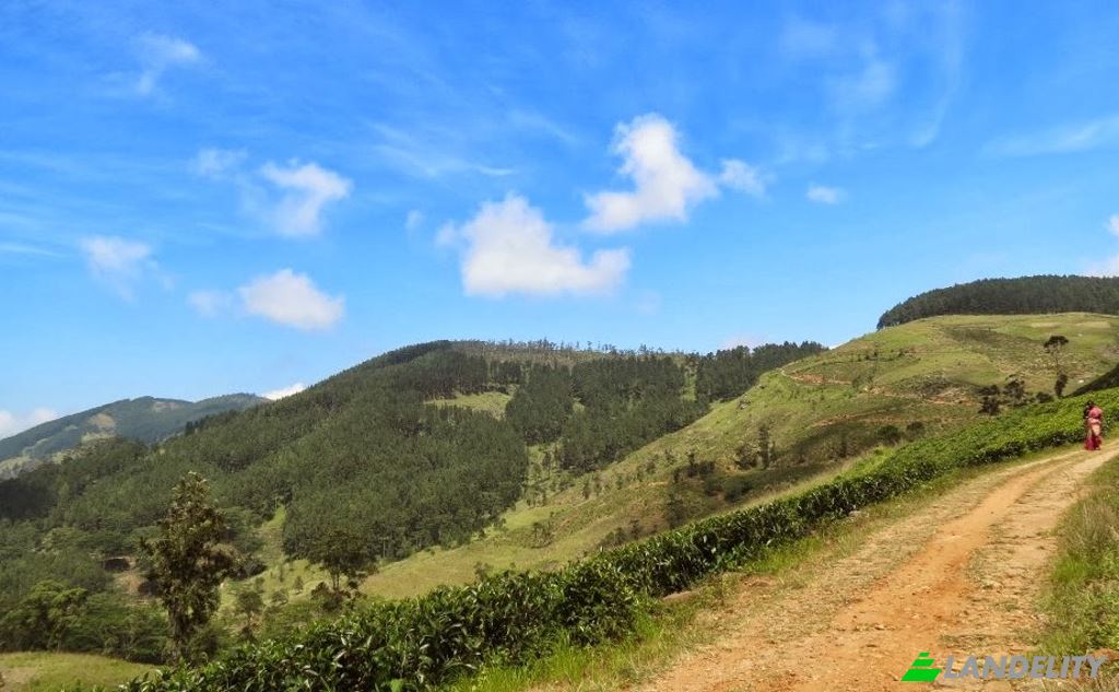 Land Lot for Sale Belwood Rd, Galaha, Kandy, Central Province, Sri Lanka. Photo 4