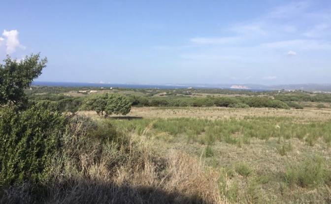Investing/Development for Sale Contraruia. Photo#3