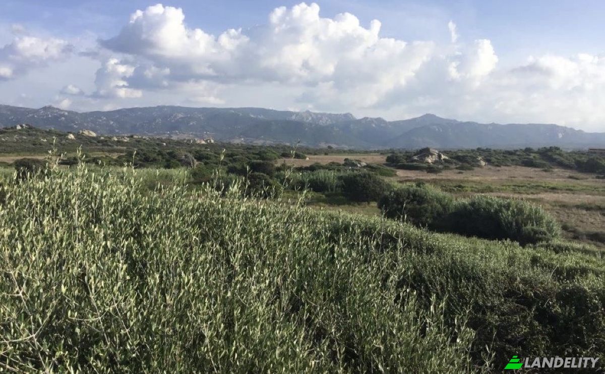 Investing/Development for Sale Contraruia Portobello, 07020 Aglientu SS, Aglientu, Province of Sassari, Sardinia, Italy. Photo 4