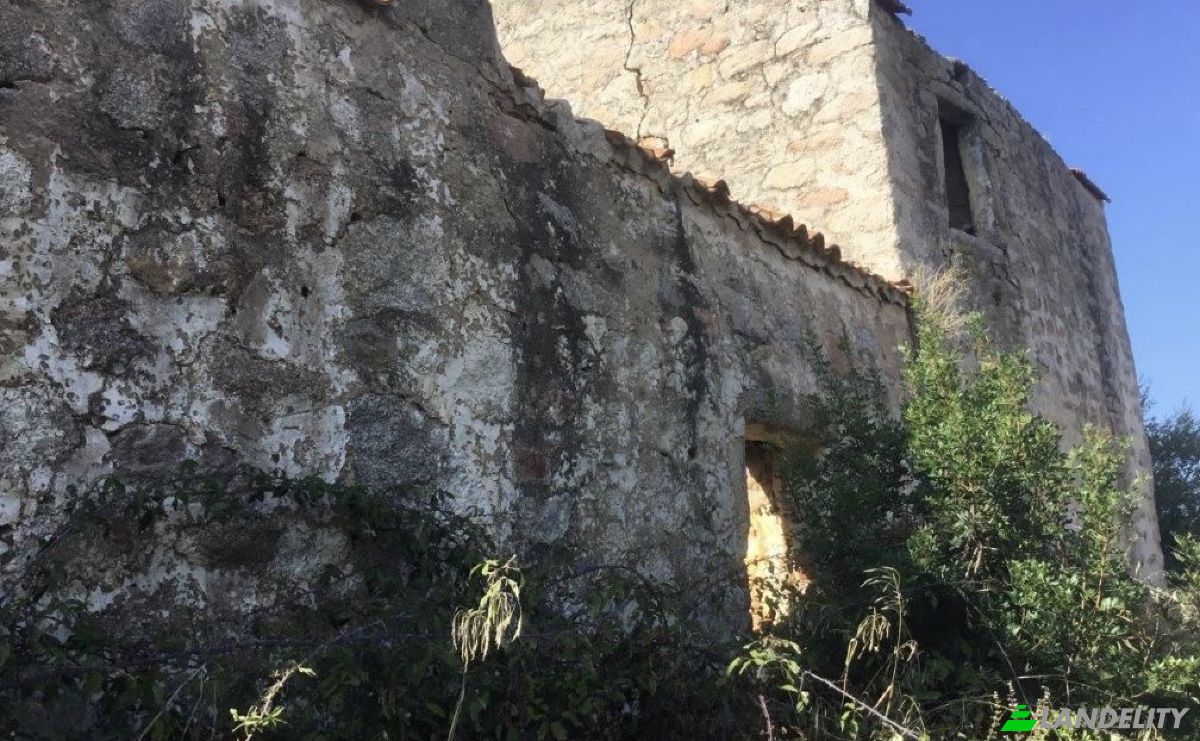 Investing/Development for Sale Contraruia Portobello, 07020 Aglientu SS, Aglientu, Province of Sassari, Sardinia, Italy. Photo 6