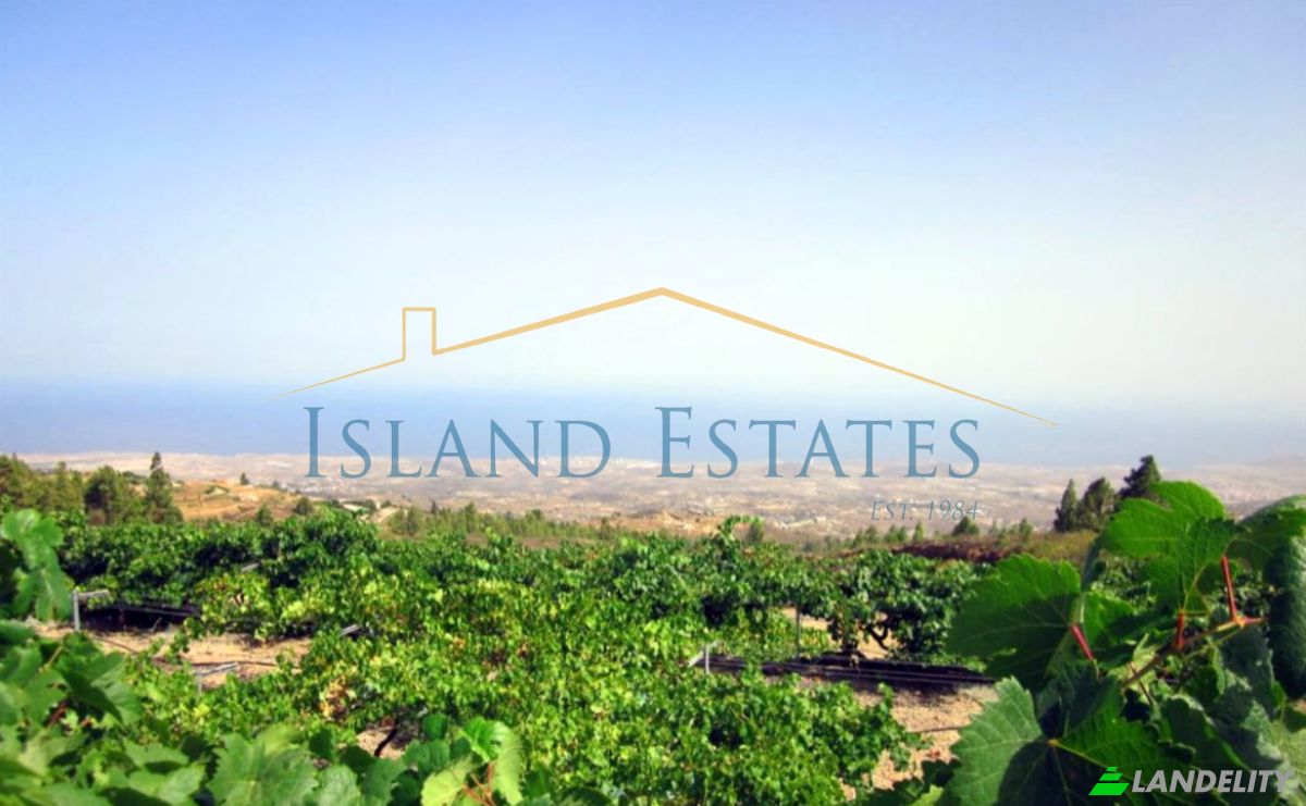 Single Family Home for Sale Calle Principal el Draguito, Granadilla de Abona, Santa Cruz de Tenerife, Canary Islands, Spain. Photo 15