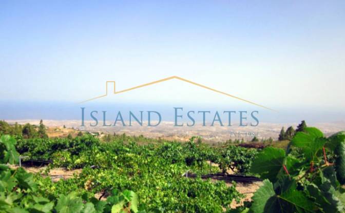 Single Family Home for Sale Calle Principal el. Photo#15