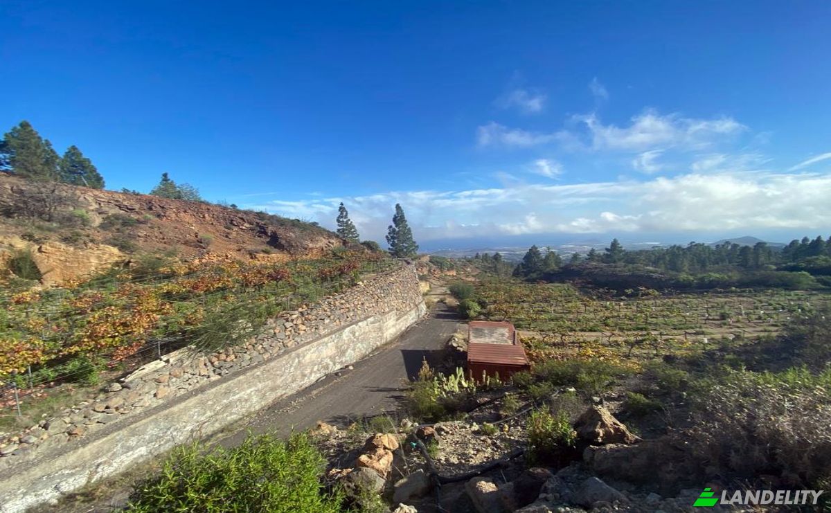 Single Family Home for Sale Calle Principal el Draguito, Granadilla de Abona, Santa Cruz de Tenerife, Canary Islands, Spain. Photo 6
