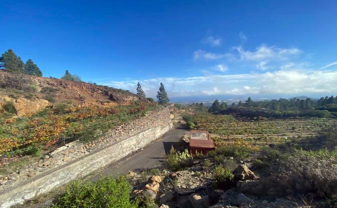 Single Family Home for Sale Calle Principal el. Photo#6
