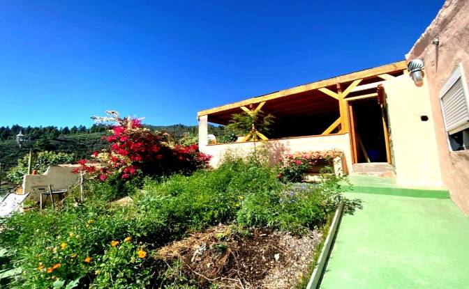 Single Family Home for Sale Calle Principal el. Photo#16