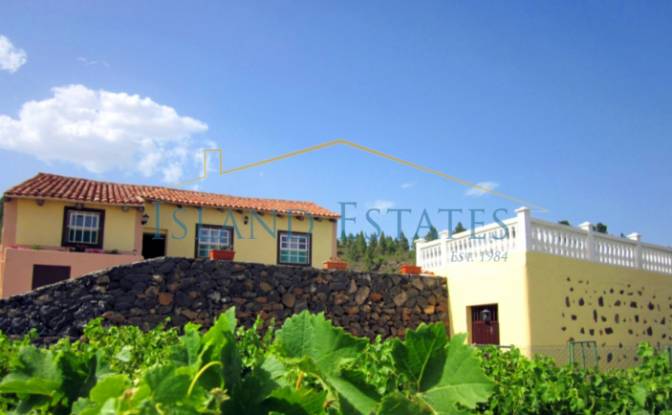 Single Family Home for Sale - Granadilla de Abona, Spain