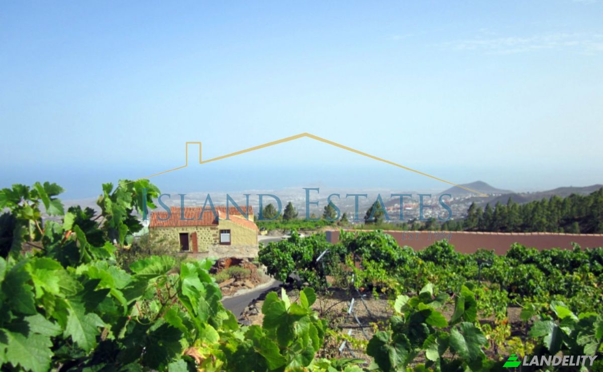 Single Family Home for Sale Calle Principal el Draguito, Granadilla de Abona, Santa Cruz de Tenerife, Canary Islands, Spain. Photo 9