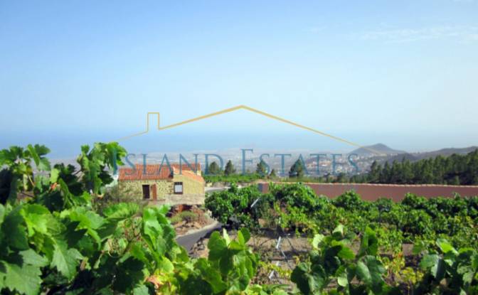 Single Family Home for Sale Calle Principal el. Photo#9