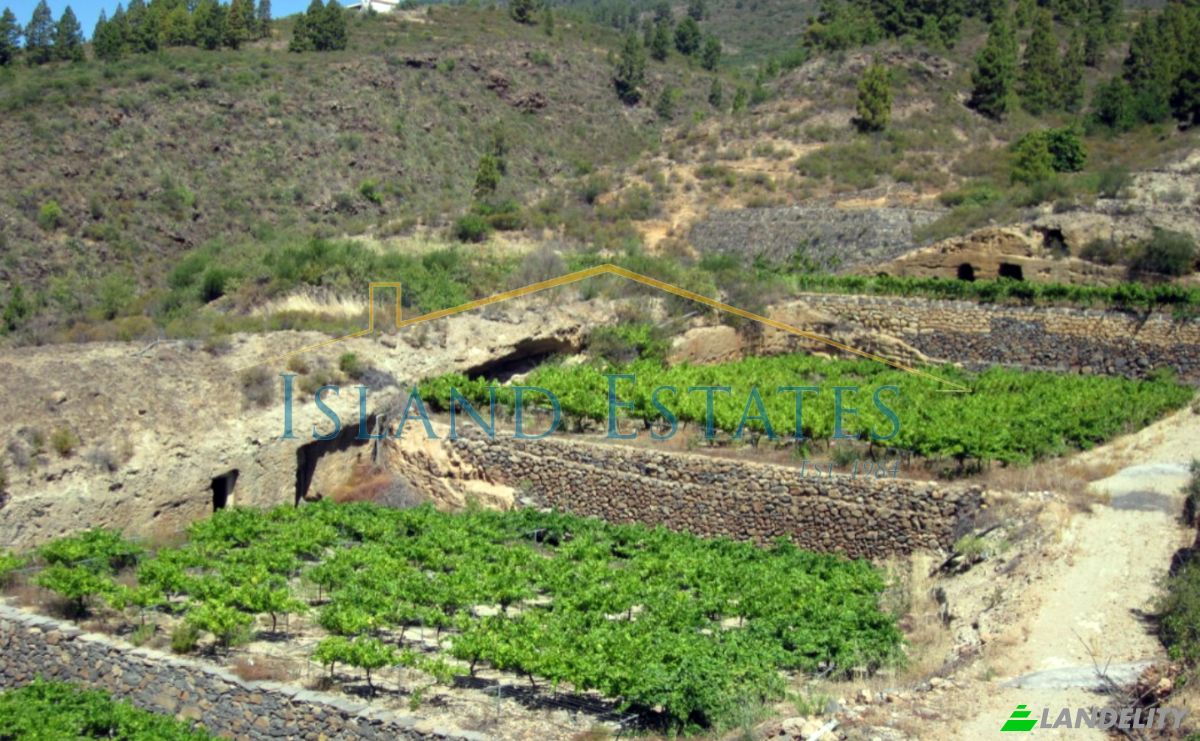 Single Family Home for Sale Calle Principal el Draguito, Granadilla de Abona, Santa Cruz de Tenerife, Canary Islands, Spain. Photo 12