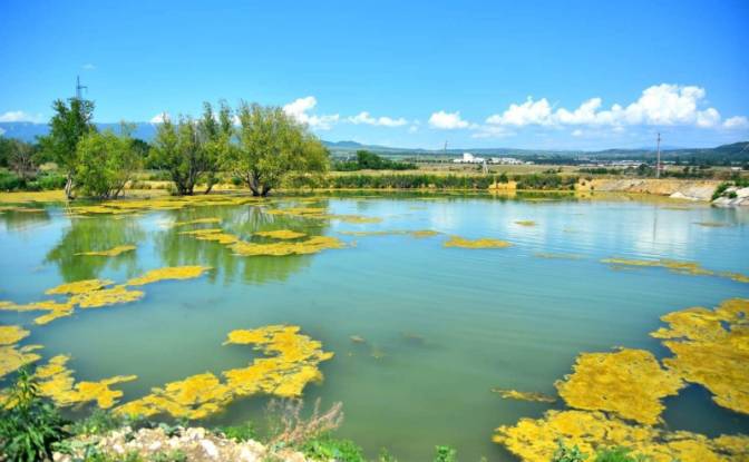 Land Lot for Sale - Tbilisi, Georgia