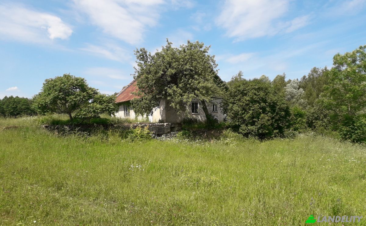 Land Lot for Sale Bebrini, Bebru pagasts, Vezi, Bebri parish, Aizkraukle Municipality, Latvia. Photo 2