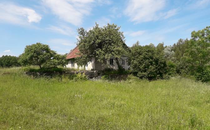 Land Lot for Sale Bebrini, Bebru pagasts, Vezi. Photo#2