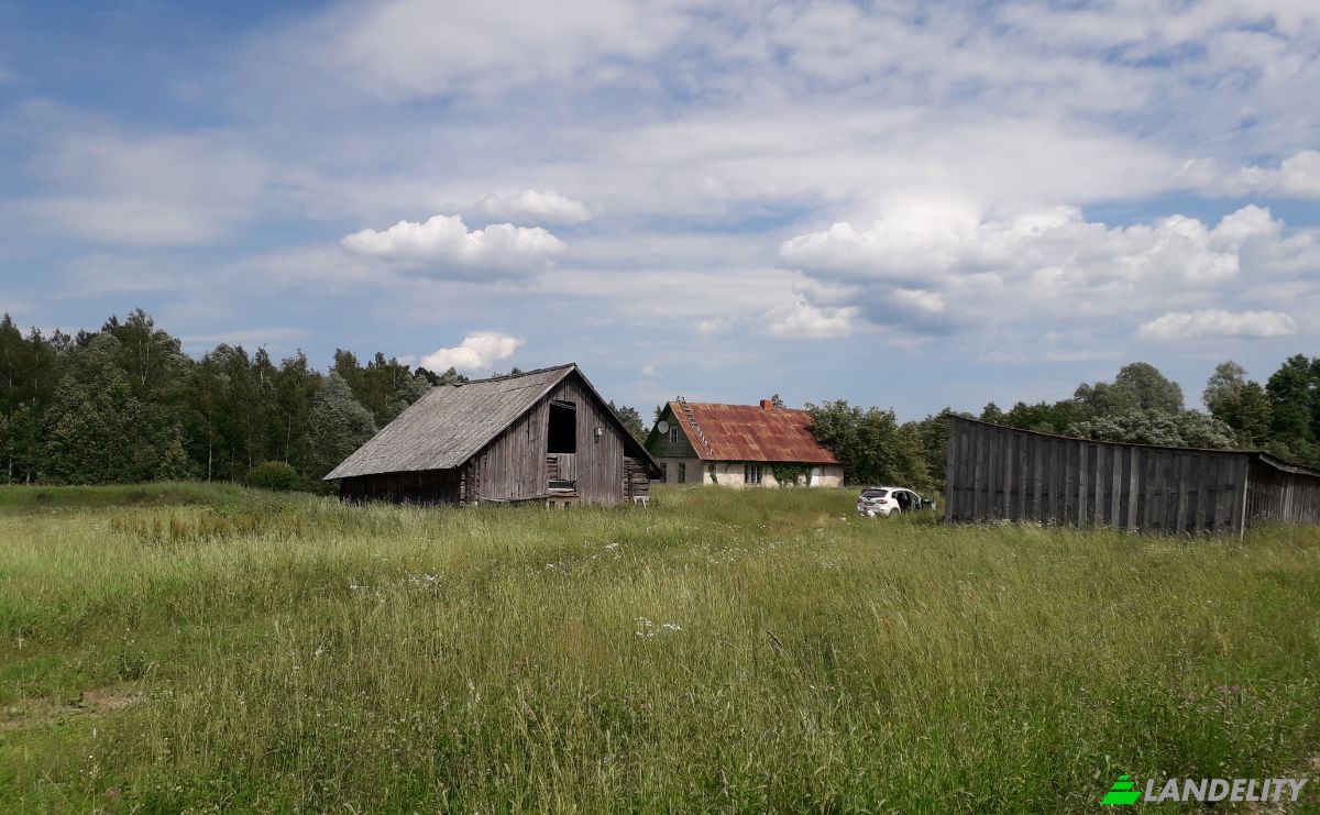 Land Lot for Sale Bebrini, Bebru pagasts, Vezi, Bebri parish, Aizkraukle Municipality, Latvia. Photo 4