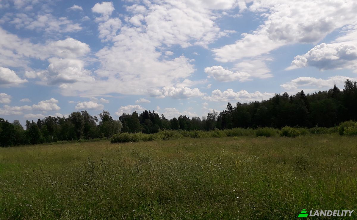 Land Lot for Sale Bebrini, Bebru pagasts, Vezi, Bebri parish, Aizkraukle Municipality, Latvia. Photo 5