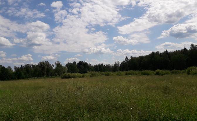 Land Lot for Sale Bebrini, Bebru pagasts, Vezi. Photo#5