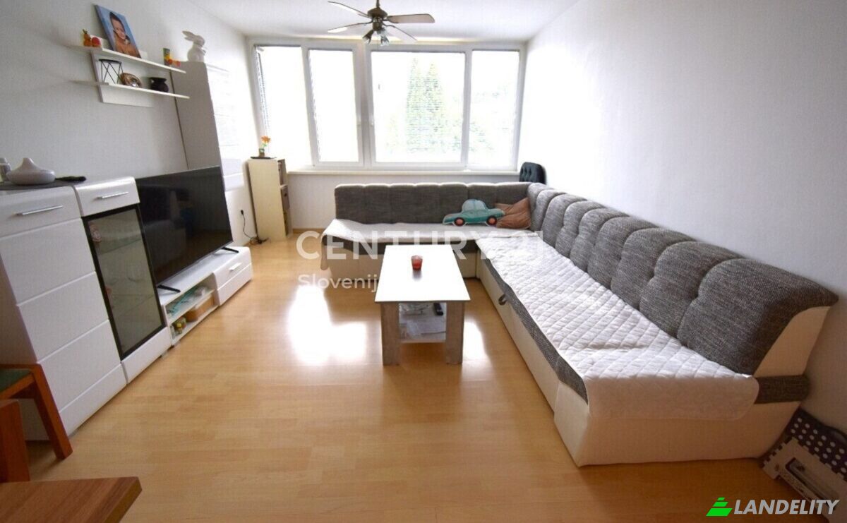Apartment for Sale Goriska cesta, Velenje, City Municipality of Velenje, Slovenia. Photo 4