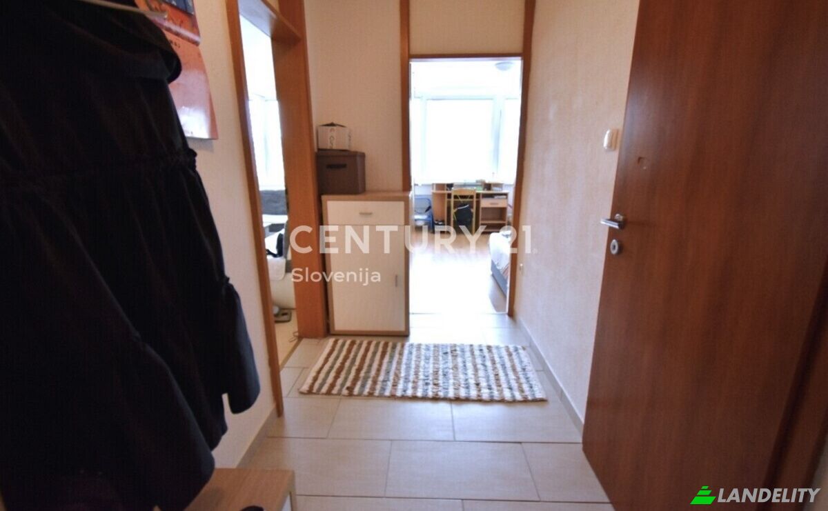 Apartment for Sale Goriska cesta, Velenje, City Municipality of Velenje, Slovenia. Photo 9
