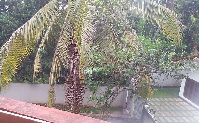 Single Family Home for Sale Hikkaduwa, Galle. Photo#9