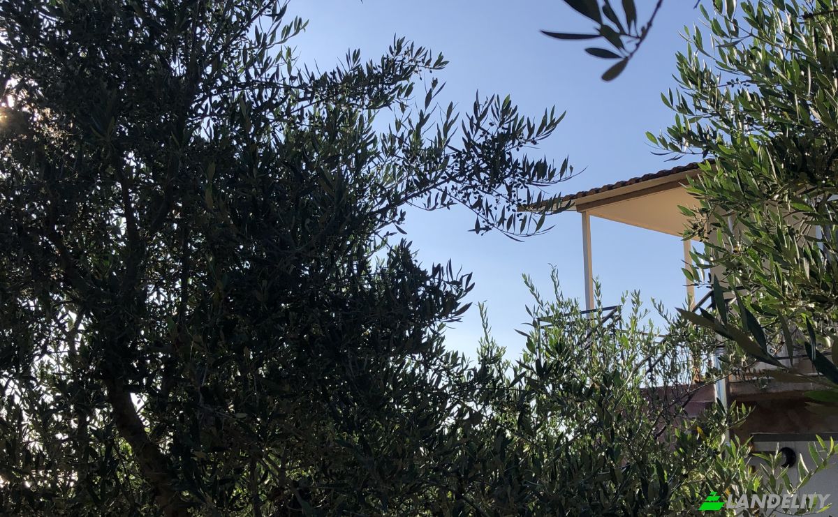 Maison unifamiliale à vendre dos xoris onomasia, Ag Kiriaki, Agia Kiriaki, Peloponnese Region, Decentralized Administration of Peloponnese, Western Greece and the Ionian, Greece. Photo 2