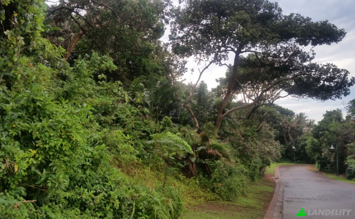 Land Lot for Sale Phil Abrams Blvd, Kelso, Pennington, Ugu District Municipality, KwaZulu-Natal, South Africa. Photo 5