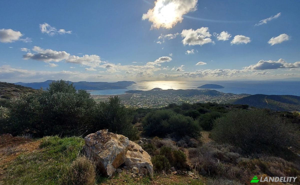 Land Lot for Sale Achilleos, Saronikos, Saronida, Attica, Decentralized Administration of Attica, Greece. Photo 5