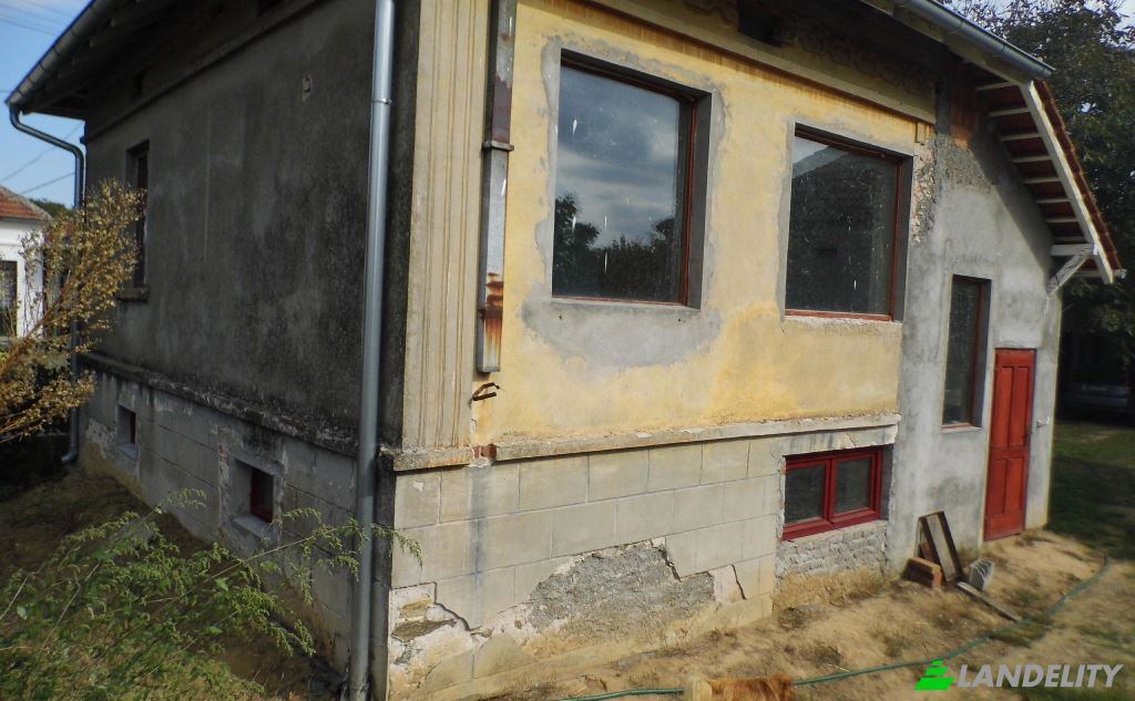 Einfamilienhaus zu verkaufen Put za Moravski Bujmir, Luzane, Nisava District, Serbia. Foto 4