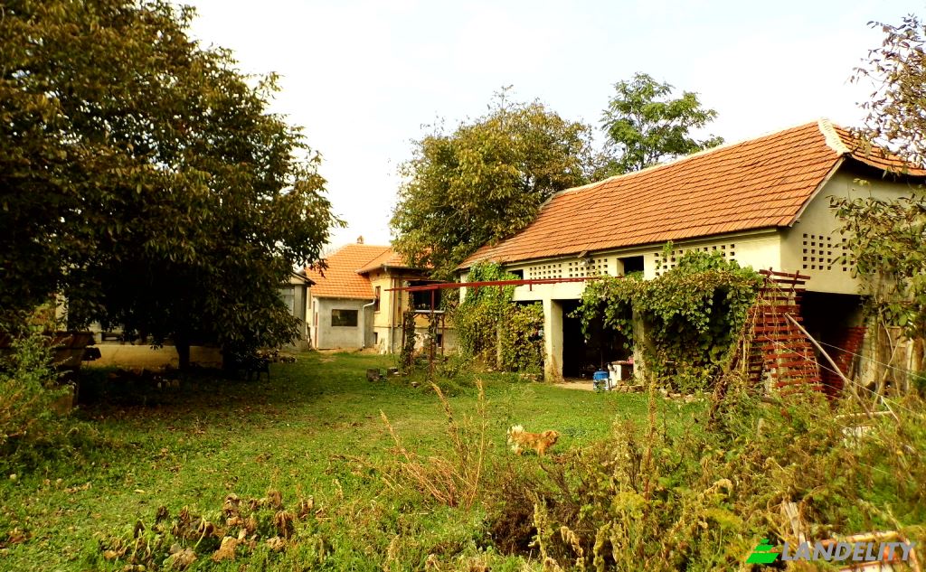 Einfamilienhaus zu verkaufen Put za Moravski Bujmir, Luzane, Nisava District, Serbia. Foto 5
