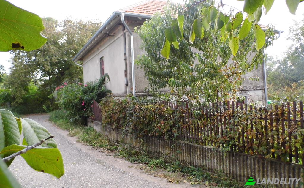 Einfamilienhaus zu verkaufen Put za Moravski Bujmir, Luzane, Nisava District, Serbia. Foto 8