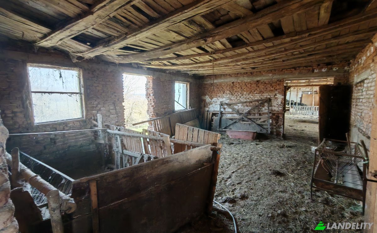 Farm/Ranch for Sale Put Bez Ime, 3529 Balyuvitsa, Balyuvitsa, Berkovitza, Montana Province, Bulgaria. Photo 13