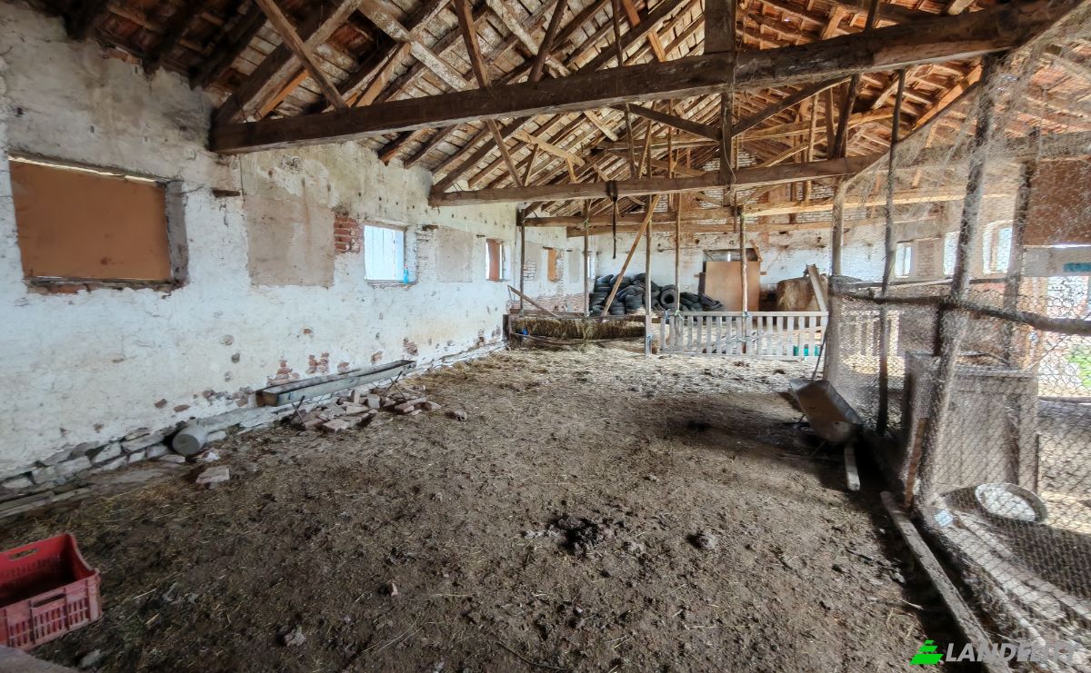 Farm/Ranch for Sale Put Bez Ime, 3529 Balyuvitsa, Balyuvitsa, Berkovitza, Montana Province, Bulgaria. Photo 14