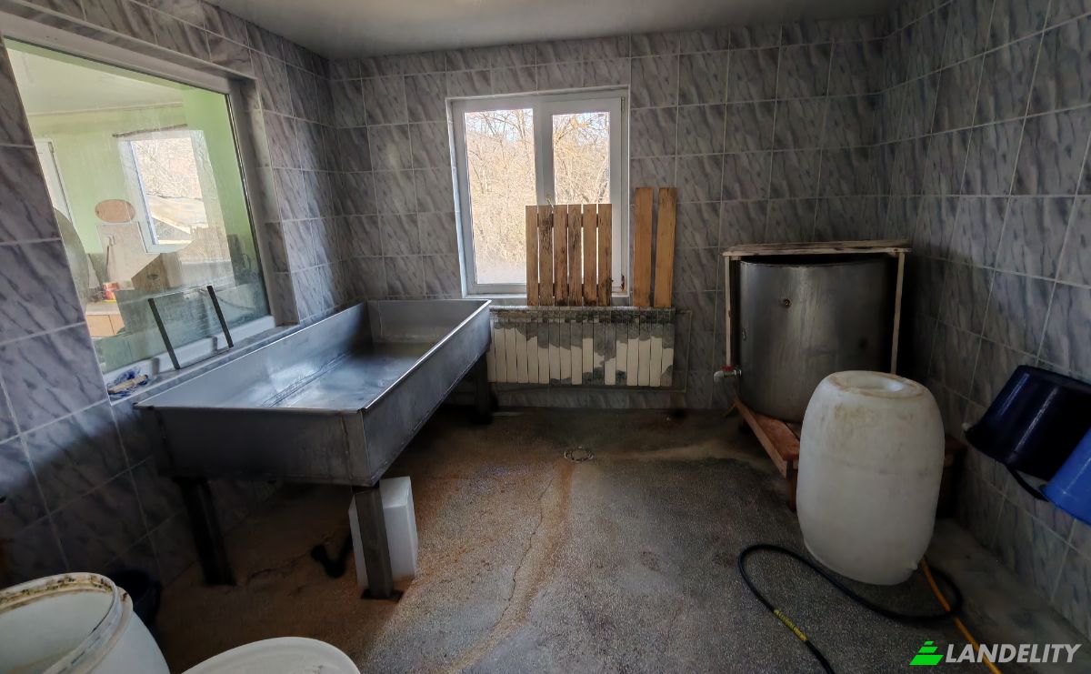 Farm/Ranch for Sale Put Bez Ime, 3529 Balyuvitsa, Balyuvitsa, Berkovitza, Montana Province, Bulgaria. Photo 6